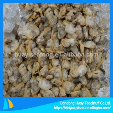 frozen cooked baby clam cooking iqf clam